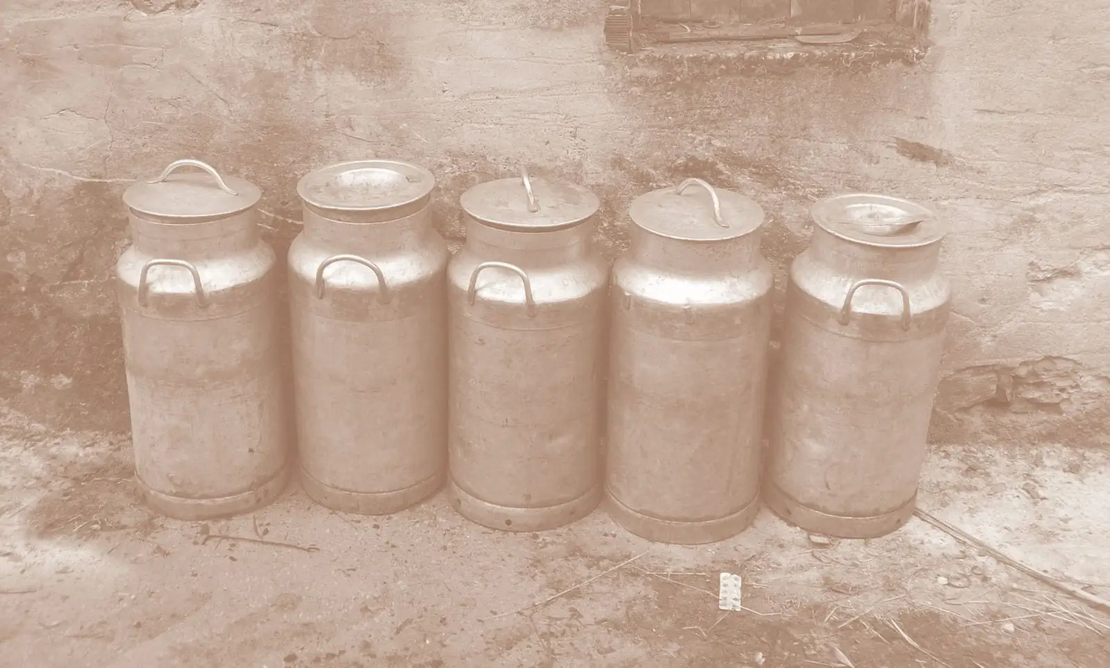 Vintage dairy canister