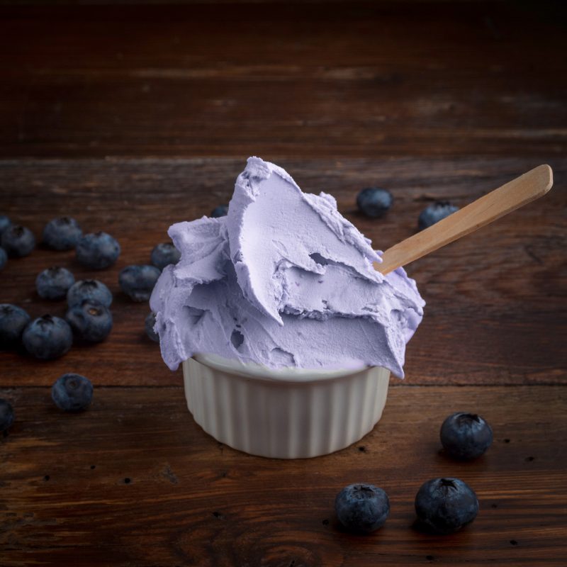 Blueberry gelato Cup