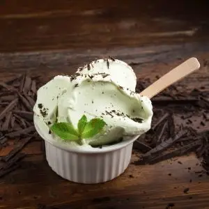 Mint Stracciatella Gelato Cup