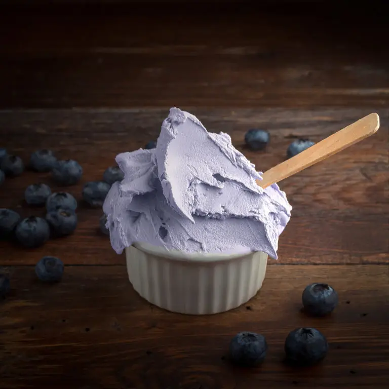 European Blueberry Italian Ice Cream Cup